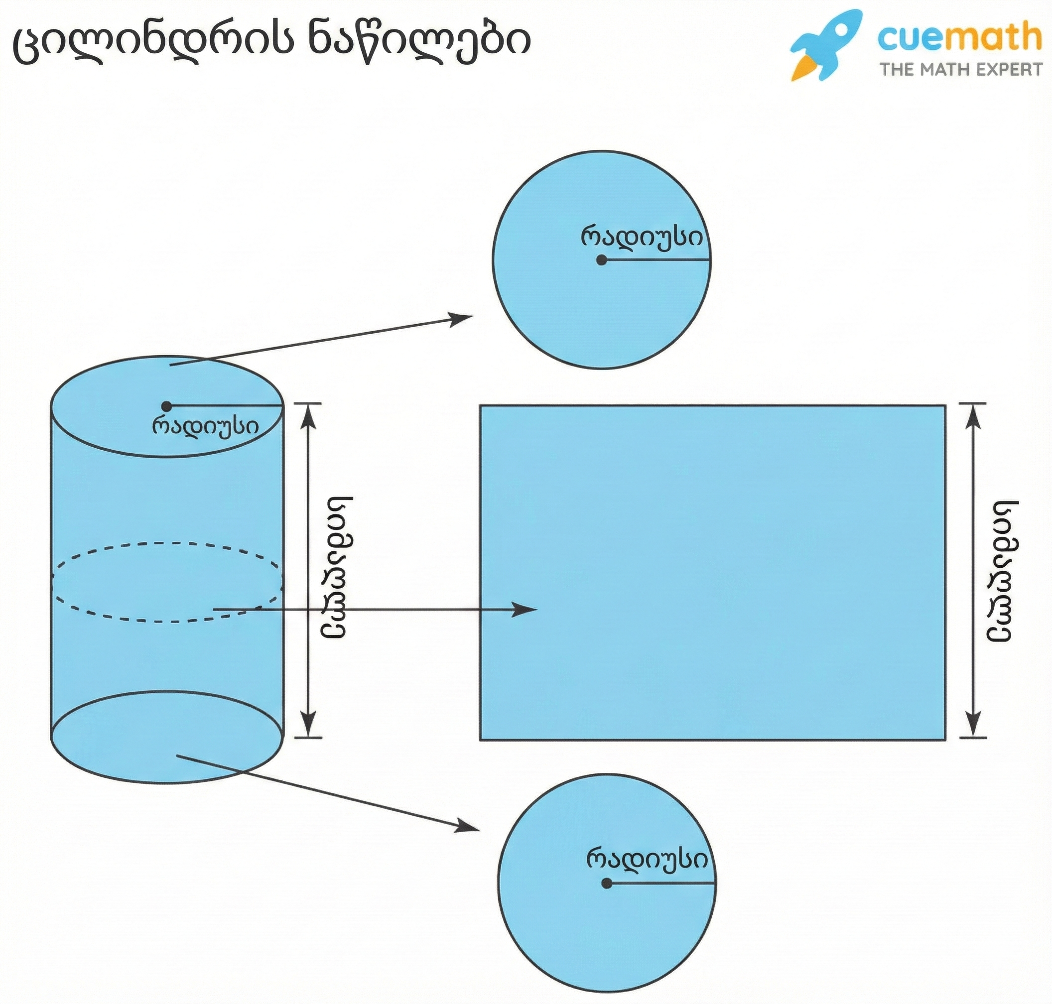 ცილინდრის აგებულება