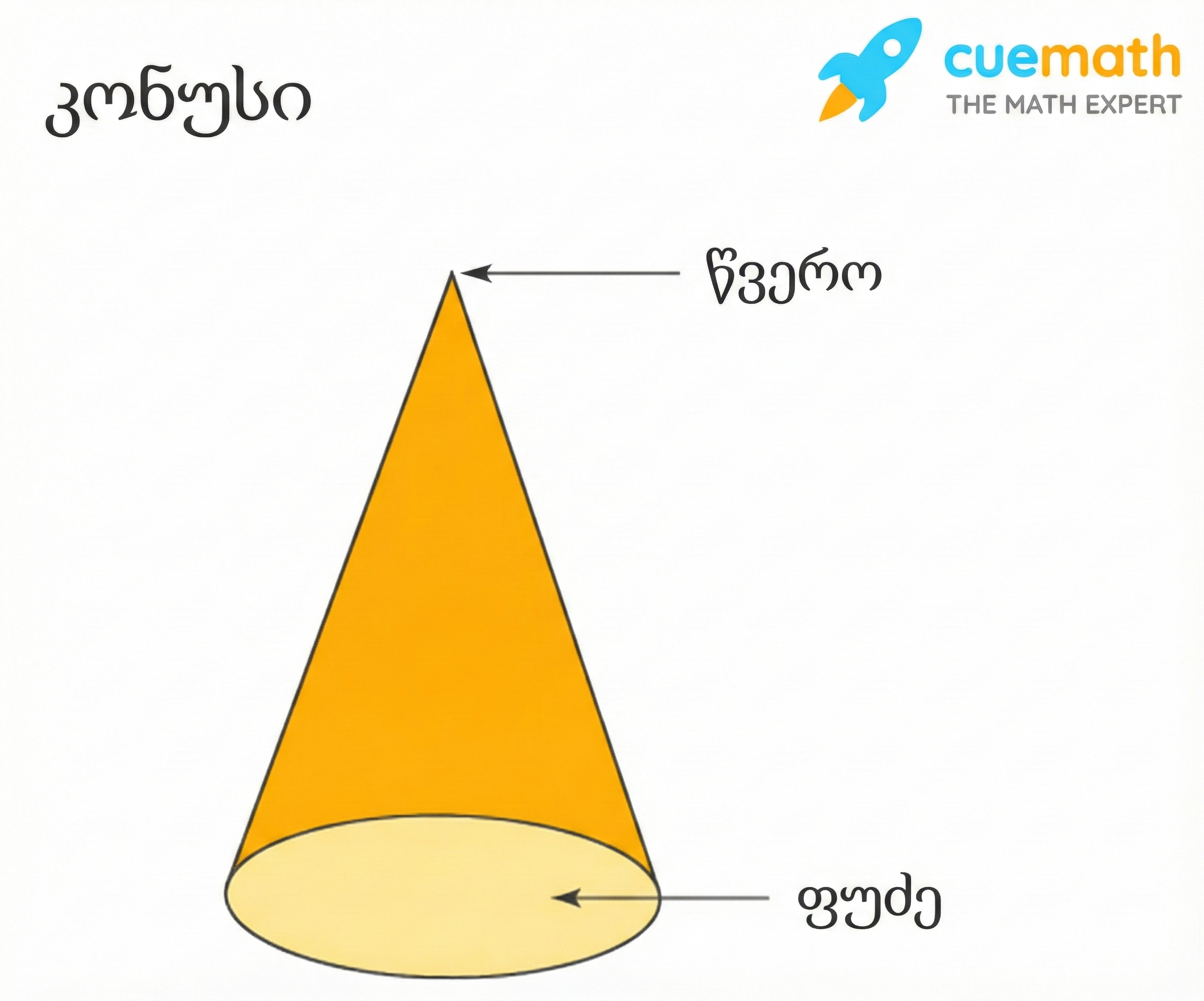 კონუსის აგებულება